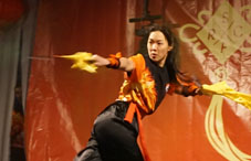 Chinees nieuwjaar 2017: Kung Fu & Tai Chi Show